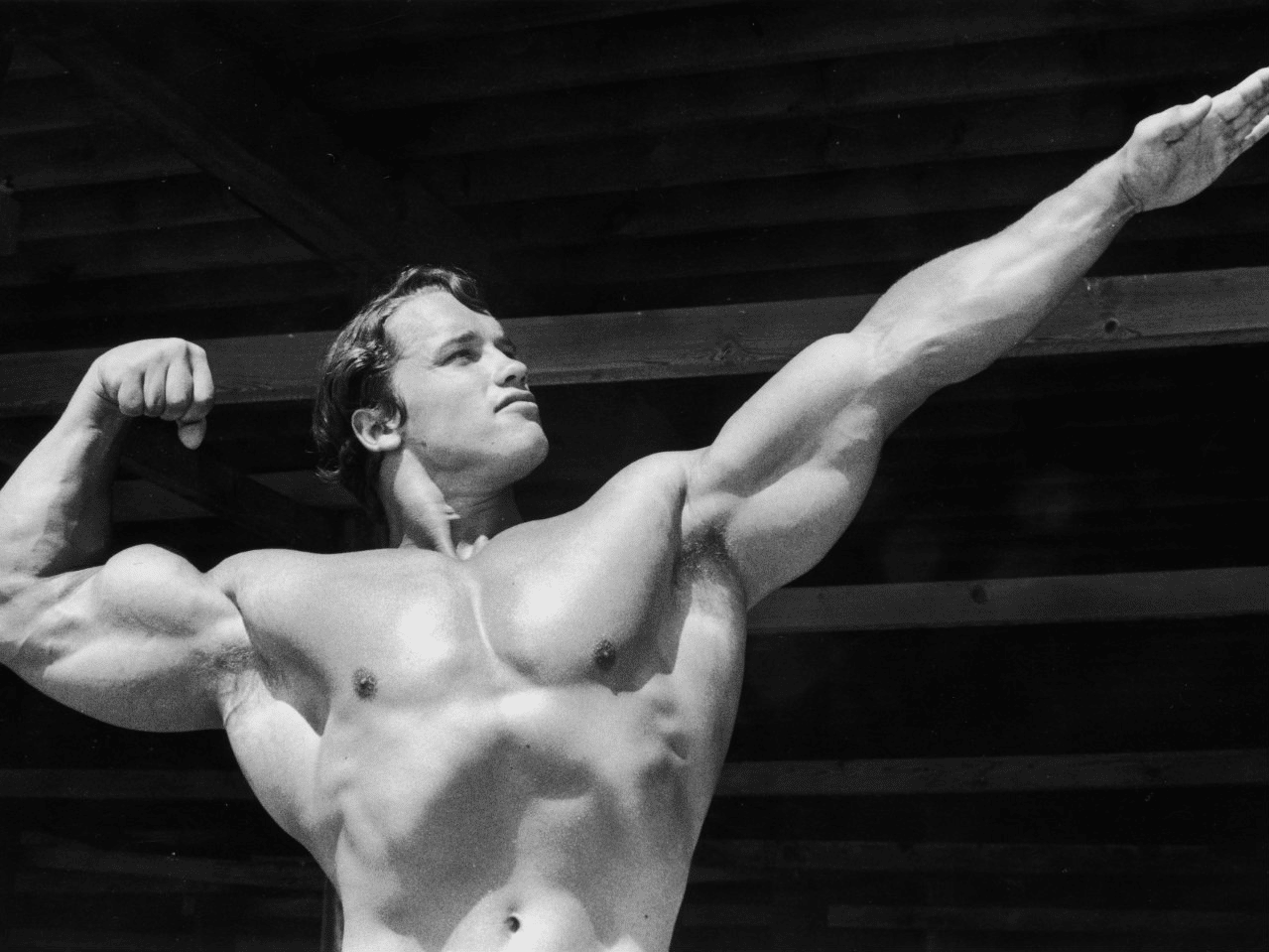 Workout Principles by Arnold Schwarzenegger