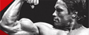 Muscular Development Bodybuilding News