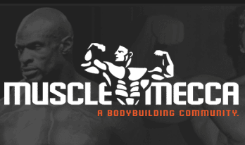 Bodybuilding forums