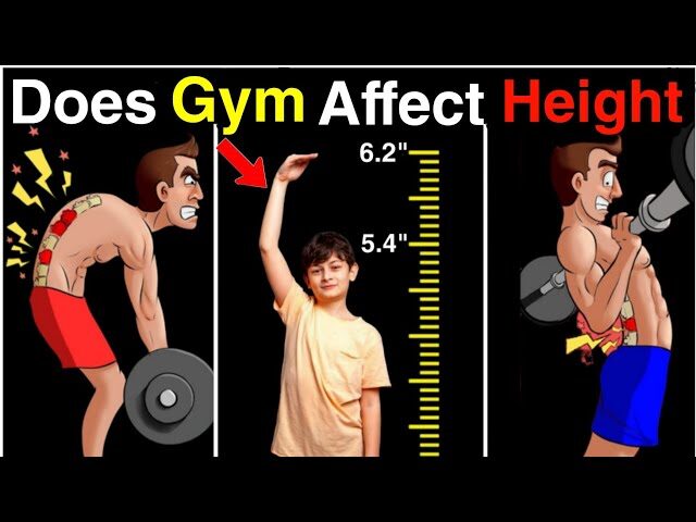 bodybuildign and height