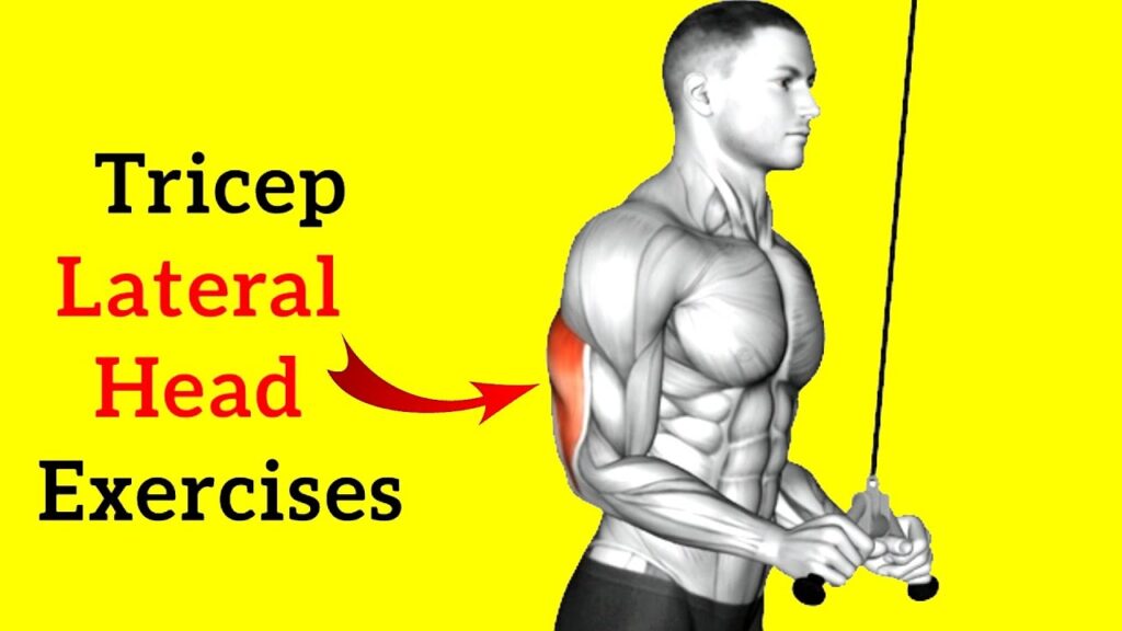 Lateral Head Tricep Guide