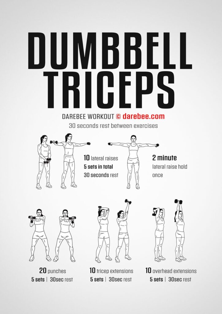 Tricep Anatomy