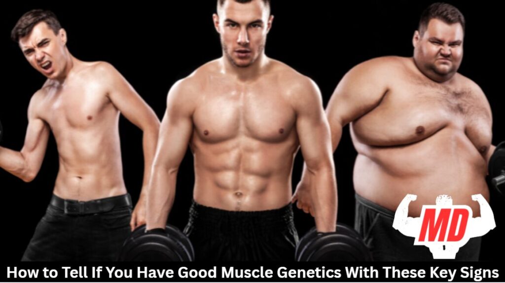 Good Muscle Genetics