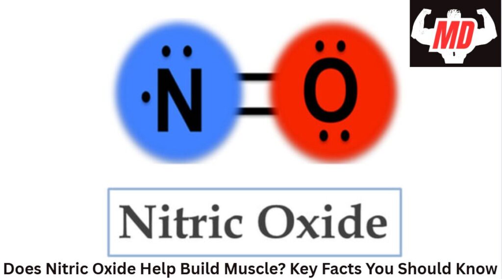 Nitric Oxide