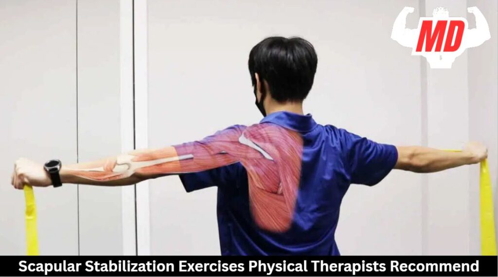 Scapular Stabilization Exercise
