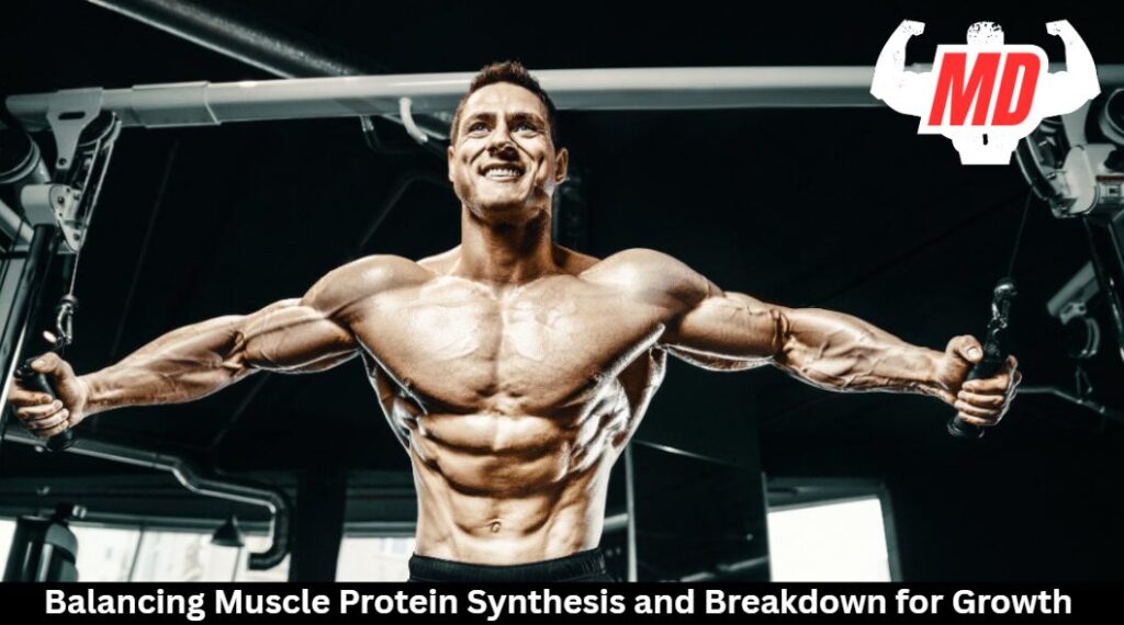 protein synthesis