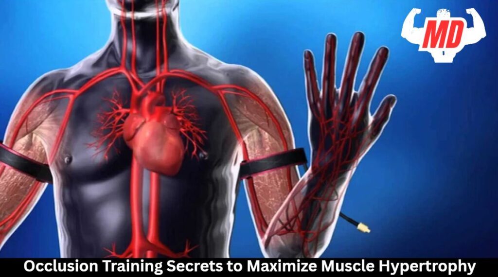 Occlusion Training