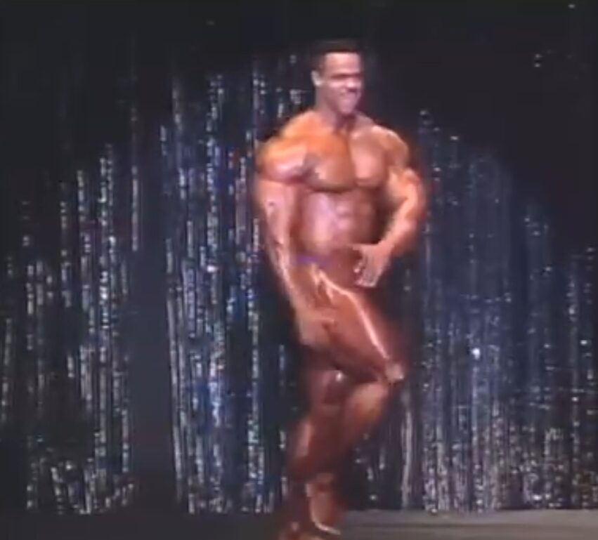 Posing Flaws Paul Dillett