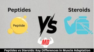 Peptides vs Steroids: Key Differences in Muscle Adaptation