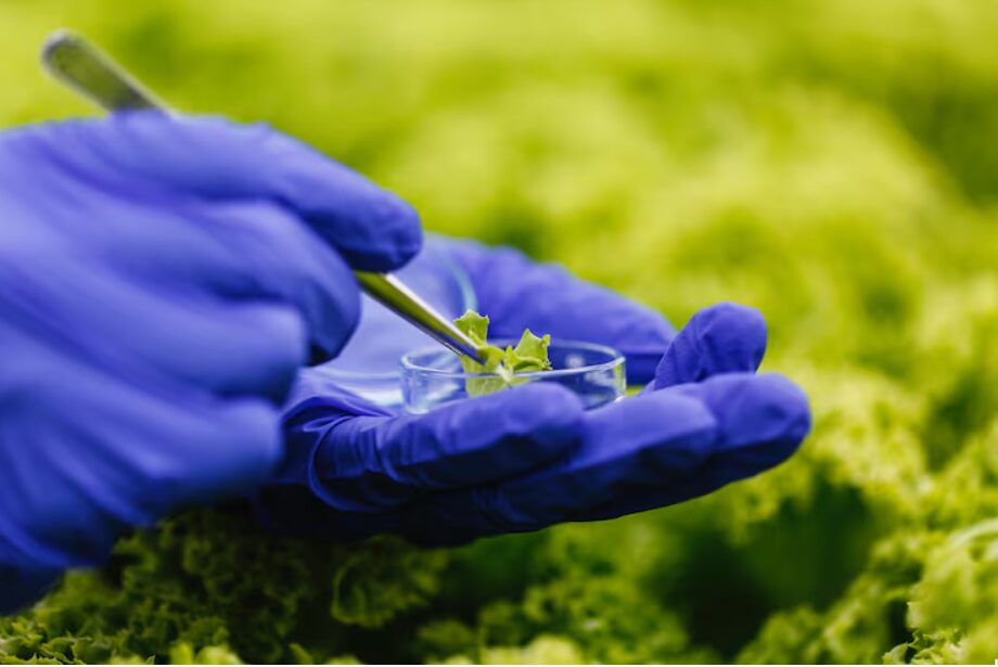 Bioavailable vs. Poorly Absorbed